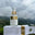 LAVIESKINCARE el mejor para el cuidado de la piel logo